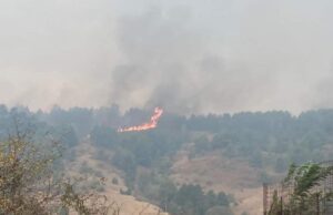 incendiu Câlnic 1