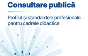 consultare publica standarde pentru cadre didactice