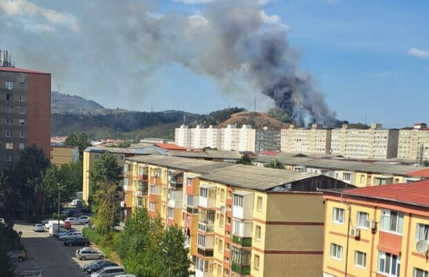 incendiu de vegetatie la resita