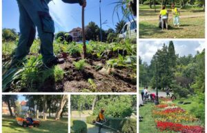 program de internship la horticultura