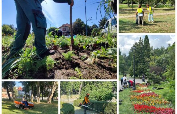 program de internship la horticultura