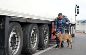 politia frontiera trafic migranti autostrada timisoara