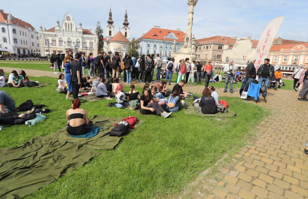 litvest timisoara patura care citeste