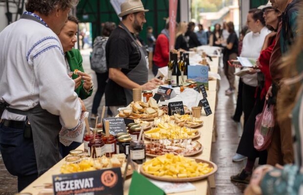 festivalul la pas din timisoara (1)