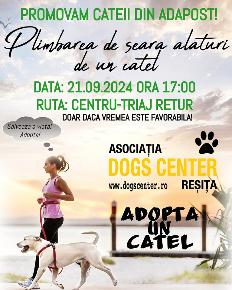 dogs center adopta un catel