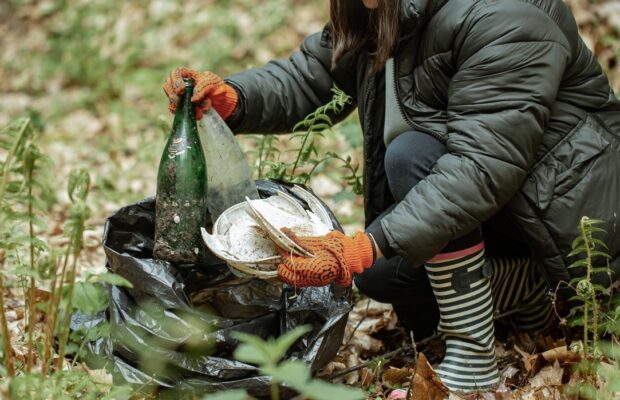 ecologizare la zavoi