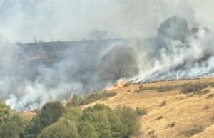 incendiu de vegetație in Caras-Severin