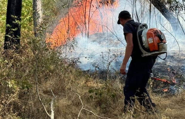 stiri despre incendiu de vegetatie uscata resita