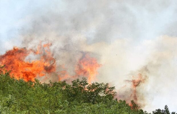 stiri despre incendiile de vegetatie de langa resita