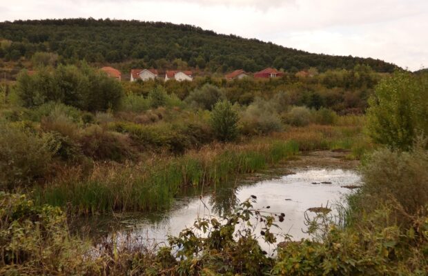 terenuri abandonate rau timis