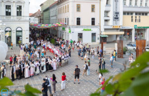 ruga la timisoara