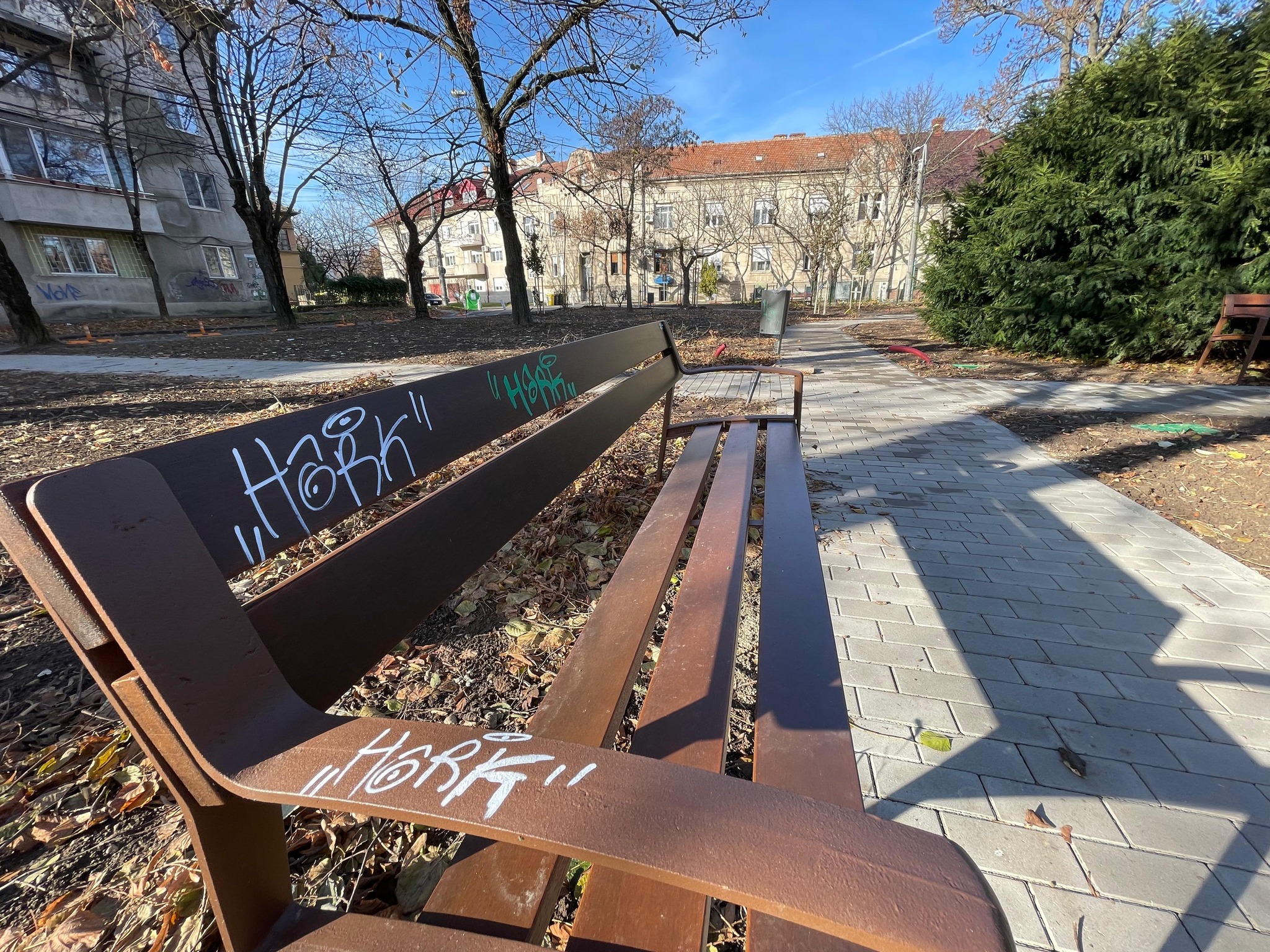 banca vandalizata la timisoara