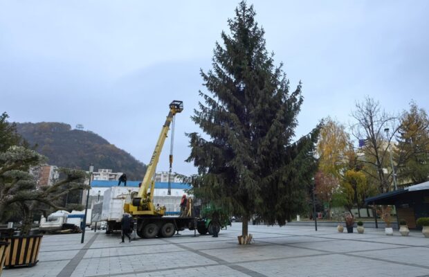 centru resita pregatiri de sarbatori