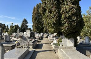 cimitire curatate de horticultura