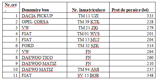 licitatie timpark