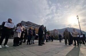 medici veterinari protest la resita