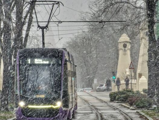 ninsoare la timisoara1