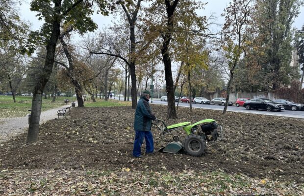 parcul justitiei din timisoara