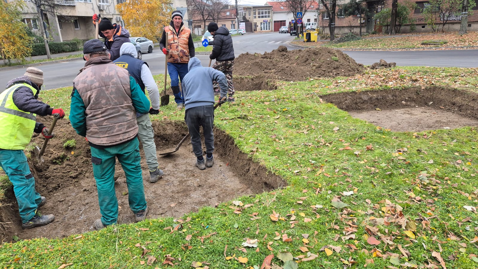 spatiu verde pe asfalt la timisoara