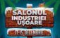 salonul industriei usoare timisoara, editia de craciun