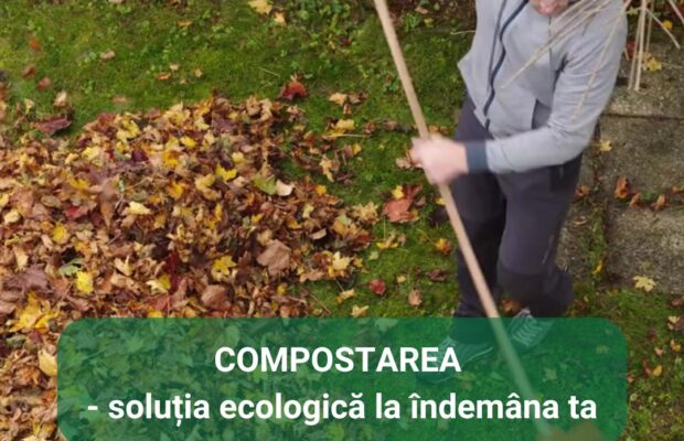 retim informatii despre compostare