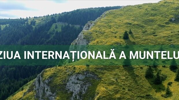 ziua internationala a muntelui