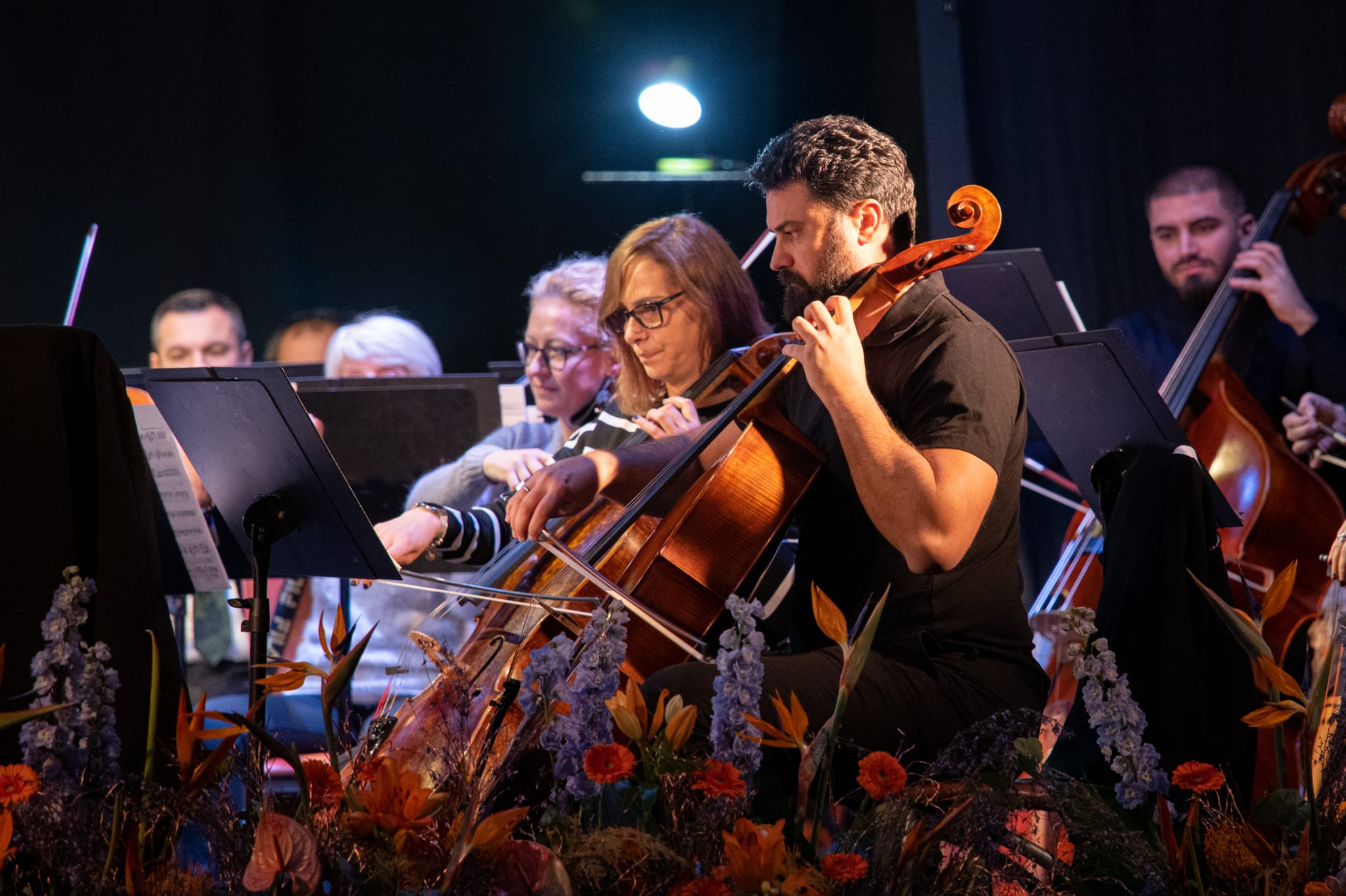 caransebes concert de anul nou filarmonica banatul (13)