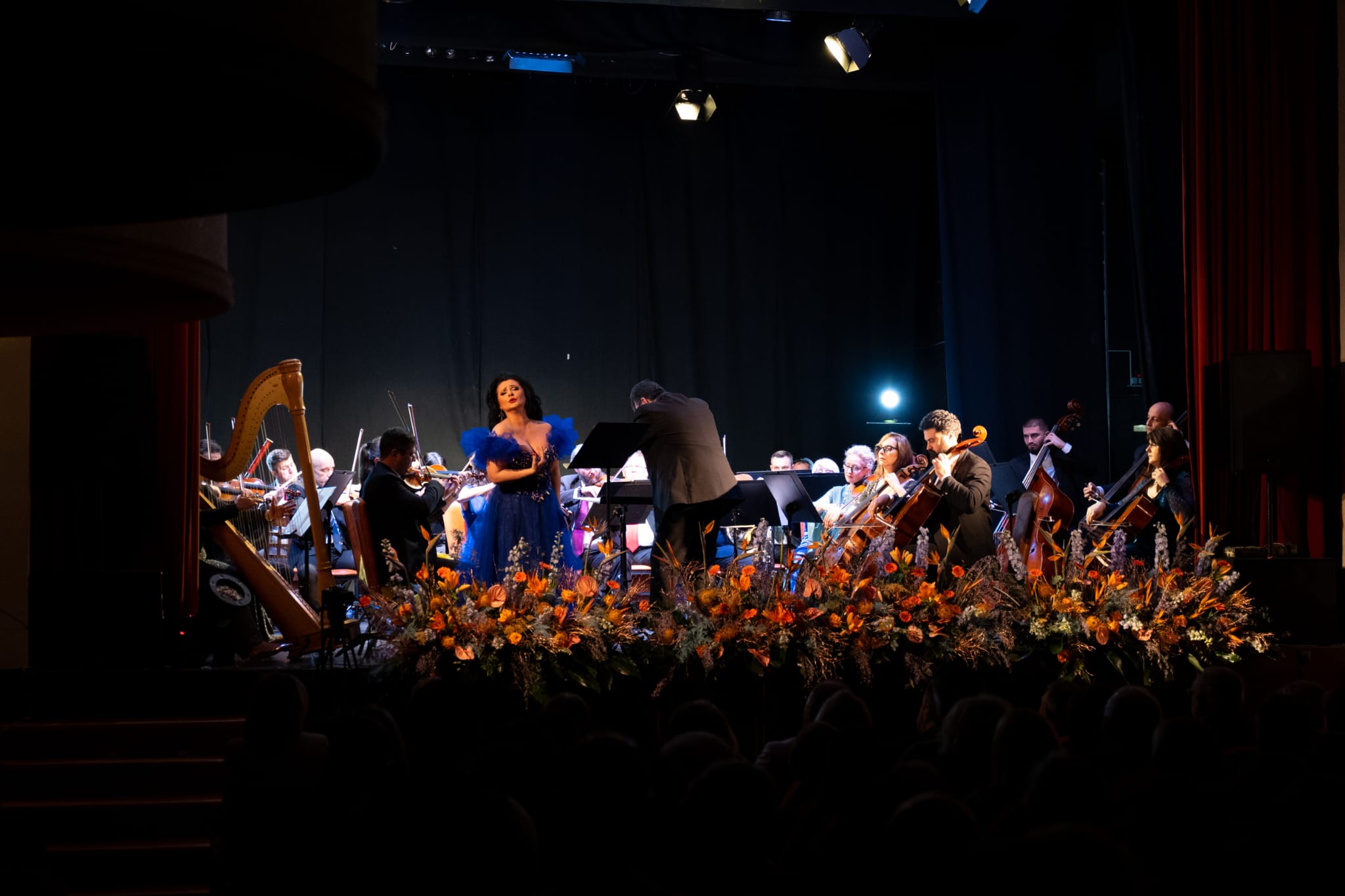 caransebes concert de anul nou filarmonica banatul (21)