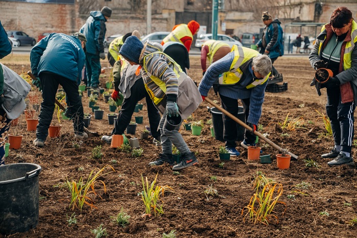 Horticultura, plantări în Piața Mărăști din Timișoara