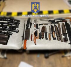 transport ilegal arme nadlac perchezitii timis