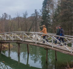 parcul regal de la savarsin primavara (3)
