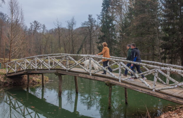 parcul regal de la savarsin primavara (3)