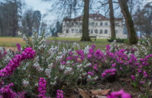parcul regal de la savarsin primavara (6)