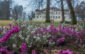 parcul regal de la savarsin primavara (6)