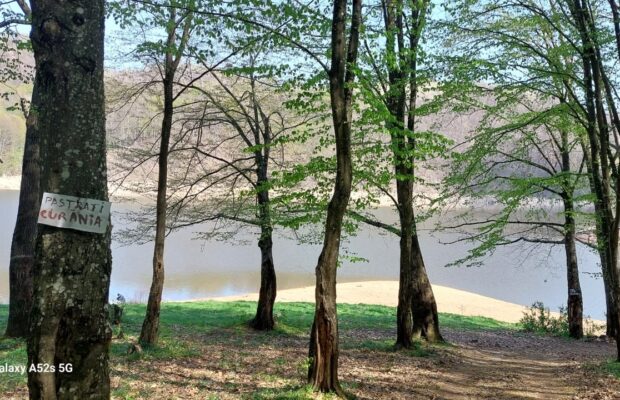 ecologizare lacul secu resita