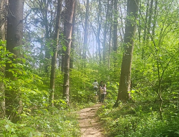 activitate tir cu arcul