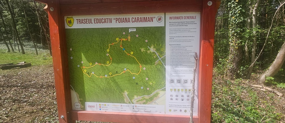 activitati in natura