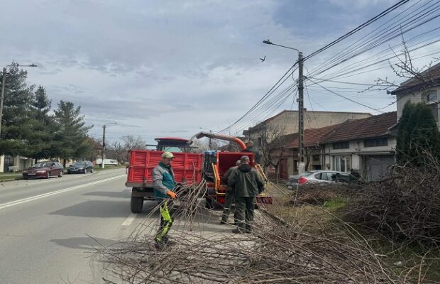 campanie deseuri vegetale lugoj