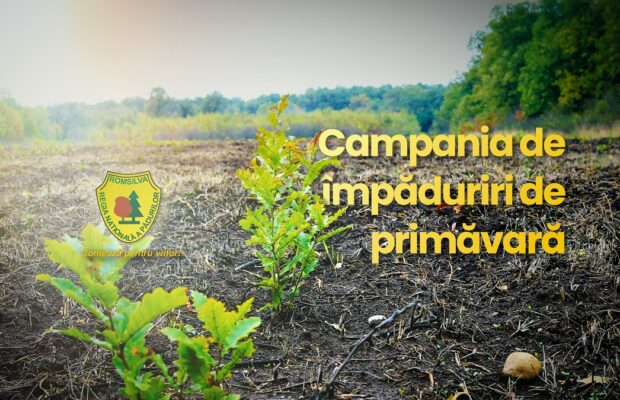 campanie impaduriri