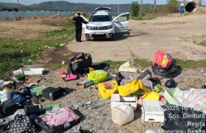 deseuri domeniu public resita