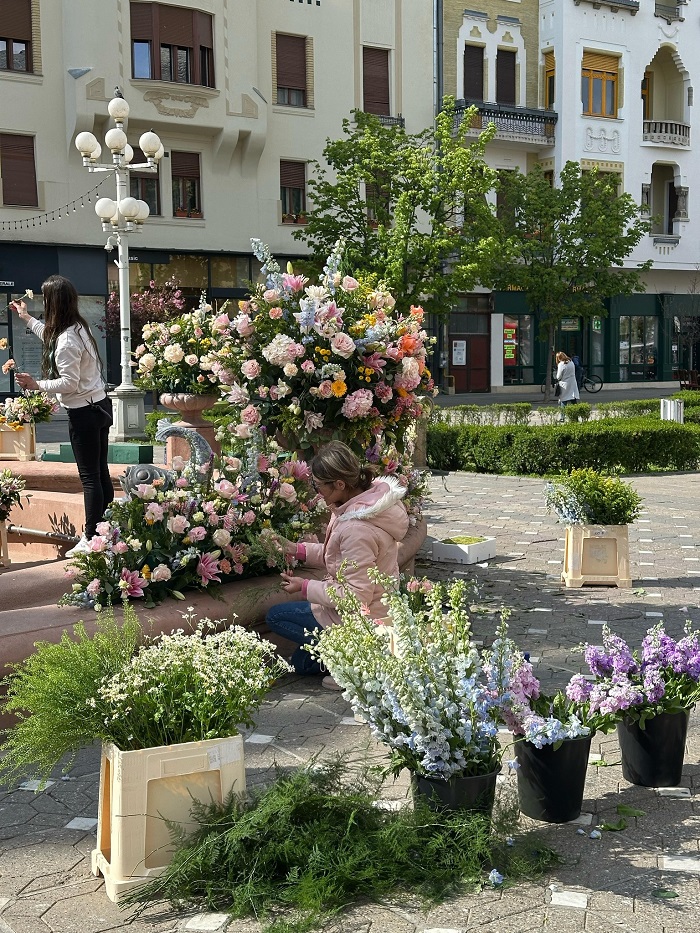 flori la fantana cu pesti din timisoara