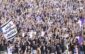 suporterii echipei de fotbal poli timisoara