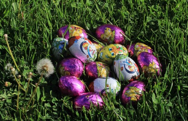 vanatoare de oua la timisoara
