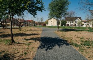 viitor spatiu verde la timisoara