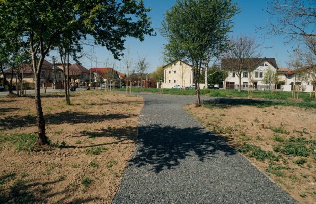 viitor spatiu verde la timisoara
