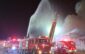 incendiu hala timisoara